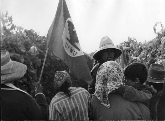 (3187) Demonstrations, Grape Field, 1973 (3187) Demonstrations, Grape Field, 1973